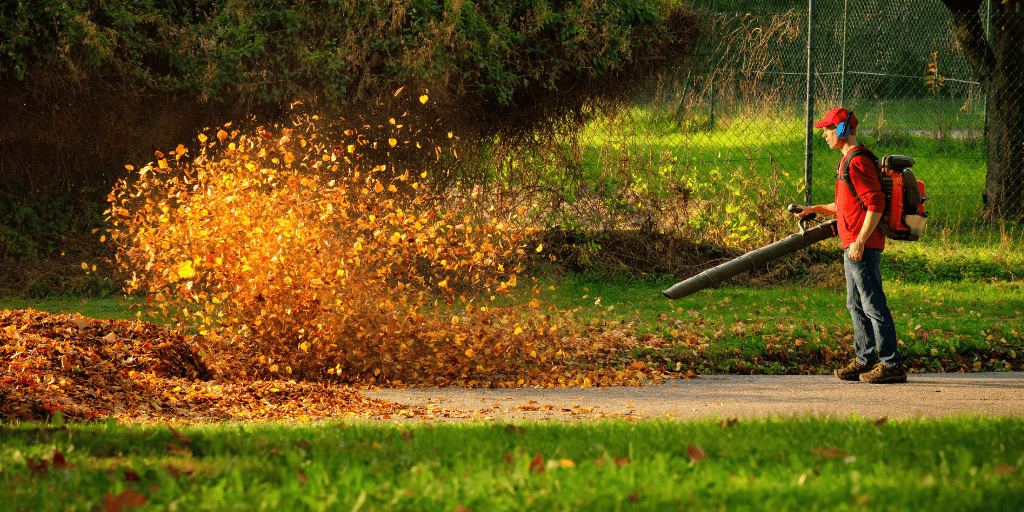 Sacramento Leaf Blower Ordinance Passes Unanimously